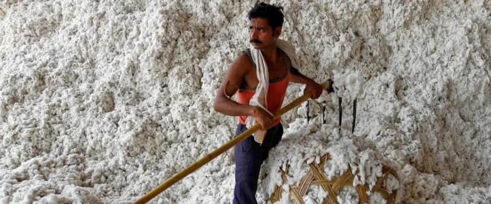 India extends duty-free cotton imports until December 31