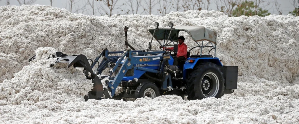 india-suspends-cotton