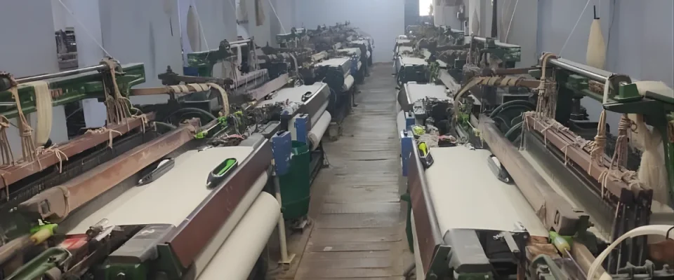 Tamil Nadu powerloom industry growth