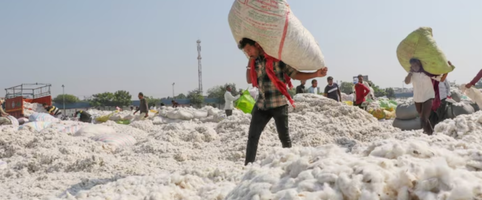 Bangladesh Shifts from India, Chooses Brazil as Its Top Cotton Supplier
