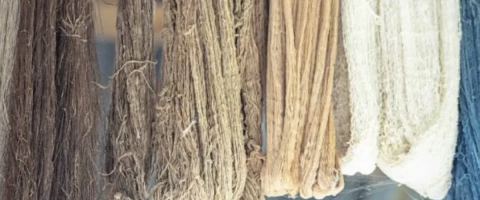 Indian Textile Firms Cut Water Use, Waste Intensity Rises: ICRA