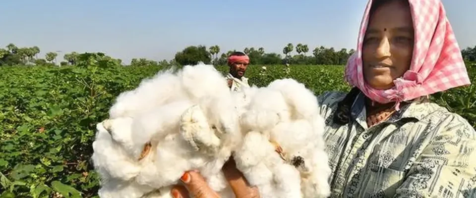 TASMA Urges FM to Extend Duty-Free Cotton Import Facility