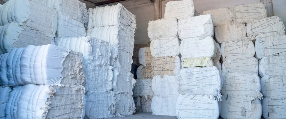 Cotton Supply Tightens as Govt Procures 38 Lakh Bales