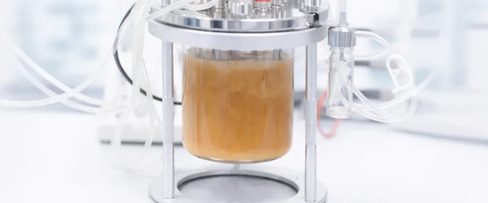 INVISTA, Epoch Biodesign MoU to Boost Recycled Nylon for Textiles