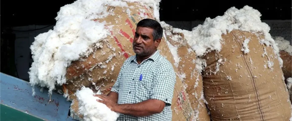 Zero Duty on ELS Cotton to Boost Textile Exports: CAI
