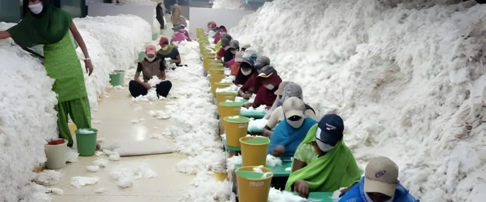 India’s cotton imports touch $1.79 billion in April-January