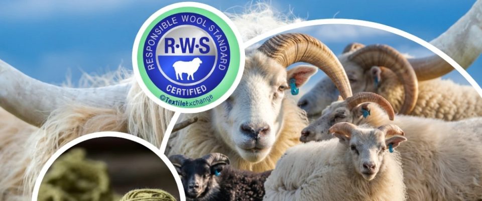 India Strengthens Wool Sector with Indigenous Certification Initiative