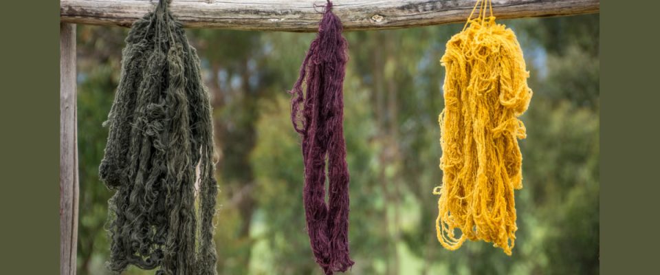 Algae-Based Textile Project Reaches Key Development Milestone