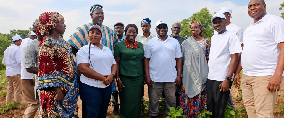 Ghana Launches Cotton Revival Initiative to Boost Textile Industry